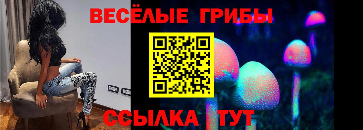 Галлюциногенные грибы мицелий Котовск